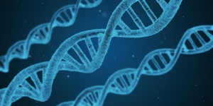 blauer DNA Strang